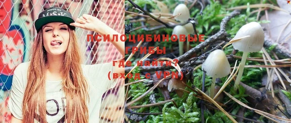 PSILOCYBIN Лиски