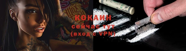 PSILOCYBIN Лиски