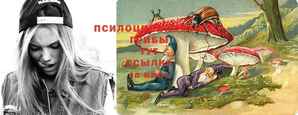 гидропоника Липки