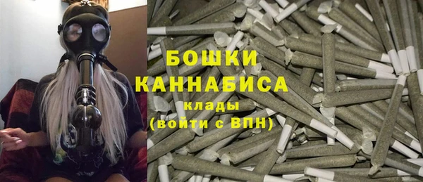 PSILOCYBIN Лиски