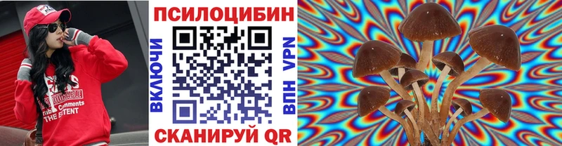 Псилоцибиновые грибы мицелий  дарнет шоп  Ростов 